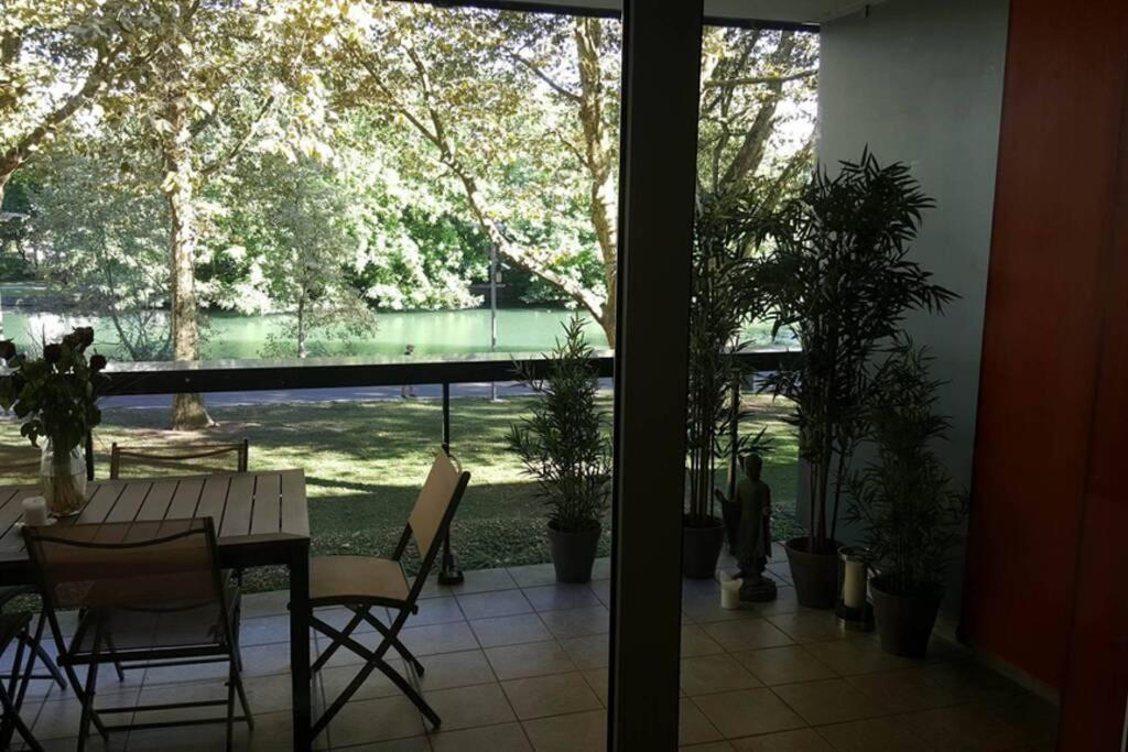 Superbe Duplex Au Nouveau Bassin Avec Vue Superbe Mulhouse Ngoại thất bức ảnh
