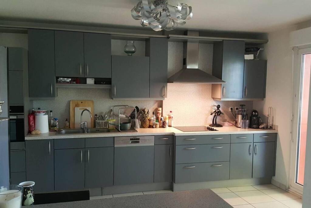 Superbe Duplex Au Nouveau Bassin Avec Vue Superbe Mulhouse Ngoại thất bức ảnh